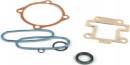 Engine Gasket Set