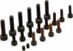 Crankcase Screw Set BT