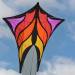 Brasington's Red Gold Train Kite 3