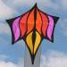 Brasington's Red Gold Train Kite 5