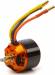 Avian 4250-800kV Outrunner Brushless Motor