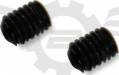 M4x4 Set Screw (2)