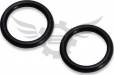 O-Ring (4)