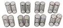 Big Bore Spring Set 45mm Length (8 Pairs) DESC4