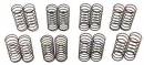 Big Bore Spring Set 45mm Length (8 Pairs) DESC4