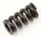 Slipper Clutch Spring (DEX210)