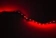 12V LED Strip (1M) Red w/3 Cell XH Balance Conn