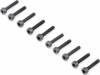 Cap Head Screws M2x10mm (10)