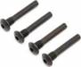 Hinge Pin Screw Outer (4) Super Baja Rey