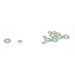 3.6 x 10mm Washers (6)