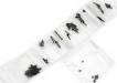 Screw Set E-Clip Micro-T/B/DT