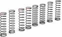 Rear Racing Spring Set TEN