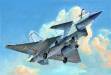 1/48 PLAAF Chinese J10B Vigorous Dragon Fighter