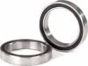 Ball Bearings Black Rubber Sealed (17x23x4mm) (2)