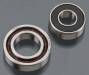 Ball Bearing Set - 40/46PRO