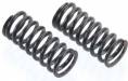 Valve Spring Set - F91S