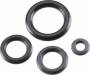 Carb O-Ring Set F54Ss