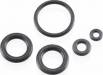 O-Ring Set Carb F-75S