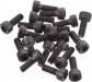 Raptor Socket Screw M3x8 (20)