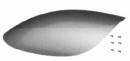 Raptor 30V2 Canopy Only