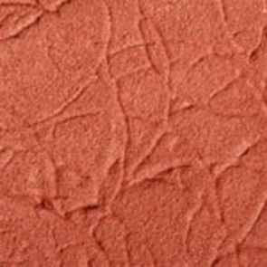 No Picture Available