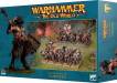 Beastmen Brayherds: Gor Head