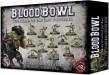 Blood Bowl: Goblin Team - The Scarcrag Snivellers