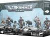Space Wolves: Wolf Guard Headtakers