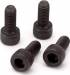 Muffler Bolts (M5x12 (4)) ZP80